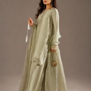 Cool Smoke Grey Tissue Silk Suit with Delicate Embellishment - 01